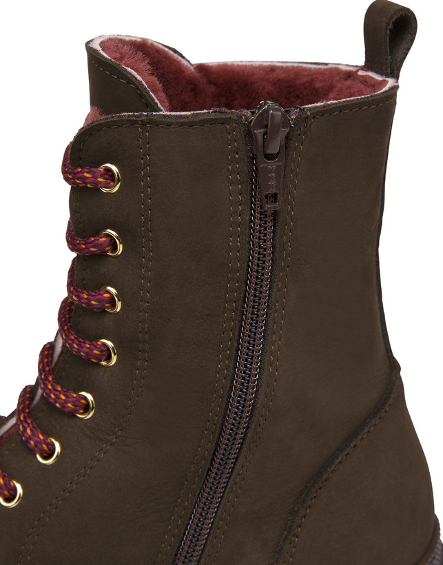Mountain Forest nubuck amphibians Photo 5
