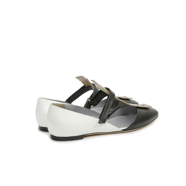 Ballerine Photo 3