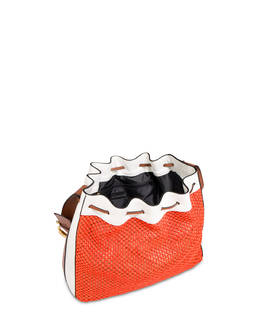 Aura bucket bag in raffia and calfskin Photo 4