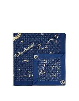 Heritage Starlight Scarf Photo 1