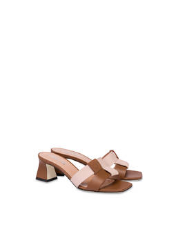 SABOT Photo 2