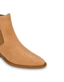 Beatle Texas in Crosta Photo 4