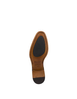 SCARPA Photo 4